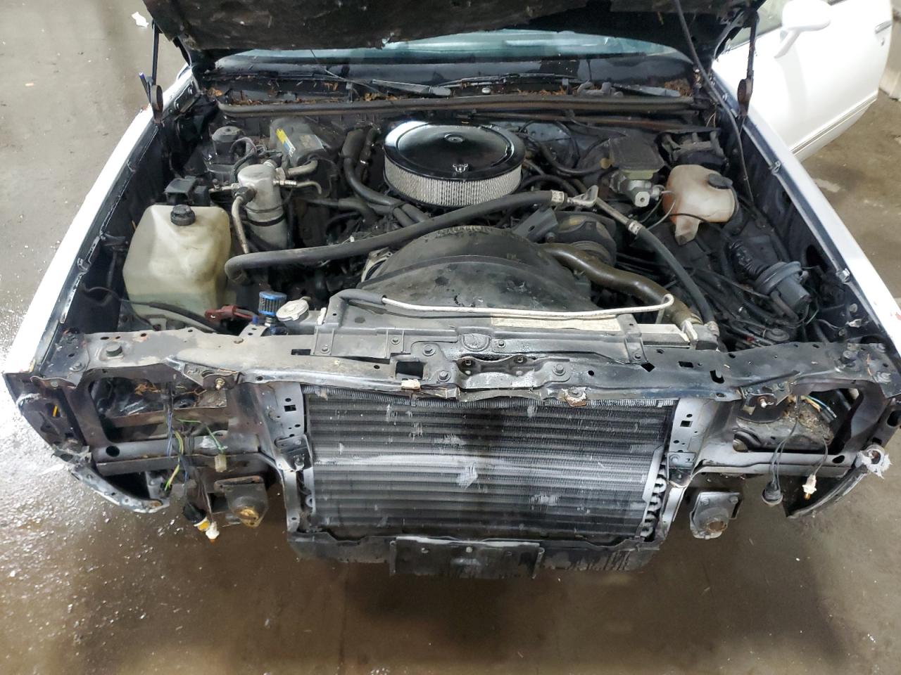 1985 Chevrolet El Camino VIN: 3GCCW80Z8FS909095 Lot: 85186685