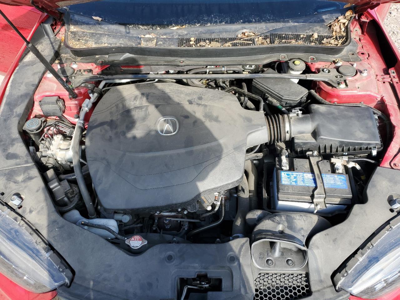 2019 Acura Tlx Technology VIN: 19UUB2F59JA012400 Lot: 86116575