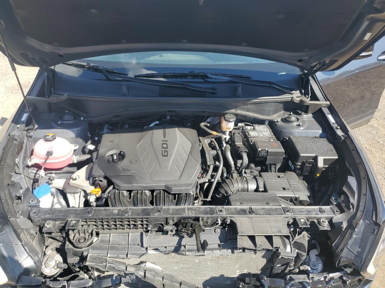 2024 Kia Sportage X Line VIN: 5XYK6CDF0RG156067 Lot: 84922025