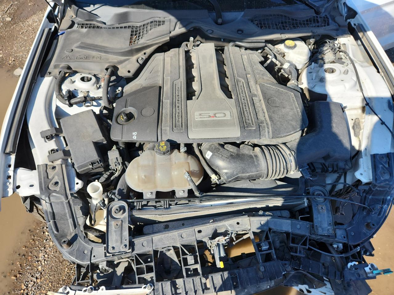 2019 Ford Mustang Gt VIN: 1FA6P8CF0K5151663 Lot: 89555335