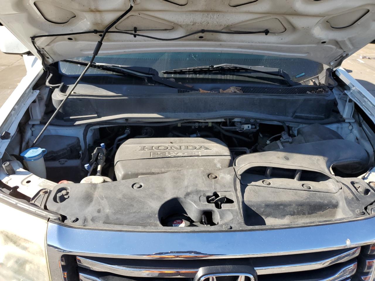 2013 Honda Pilot Exl VIN: 5FNYF4H52DB044047 Lot: 81427065