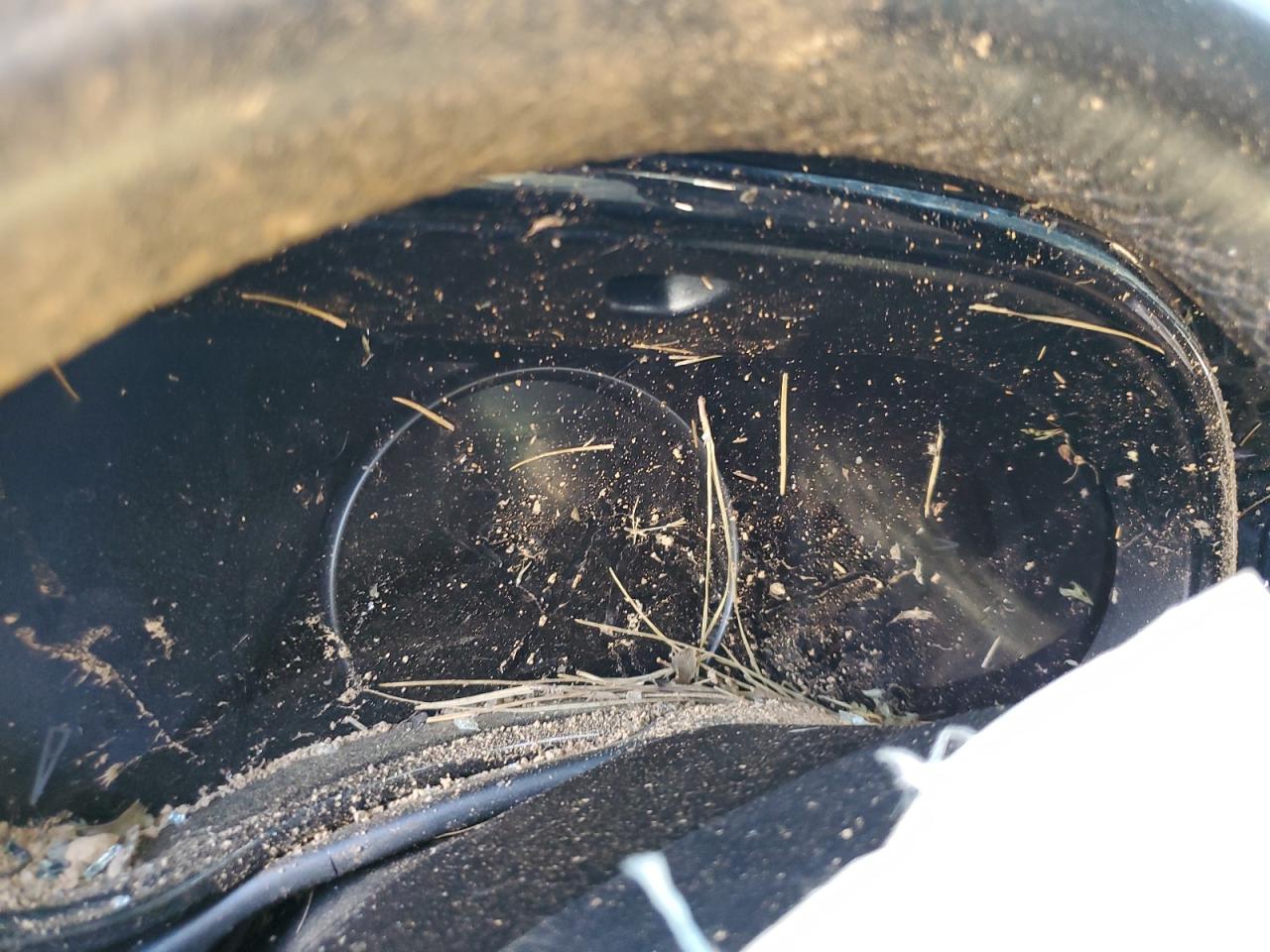 2023 Dodge Durango R/T VIN: 1C4SDHCT7PC567493 Lot: 81848945