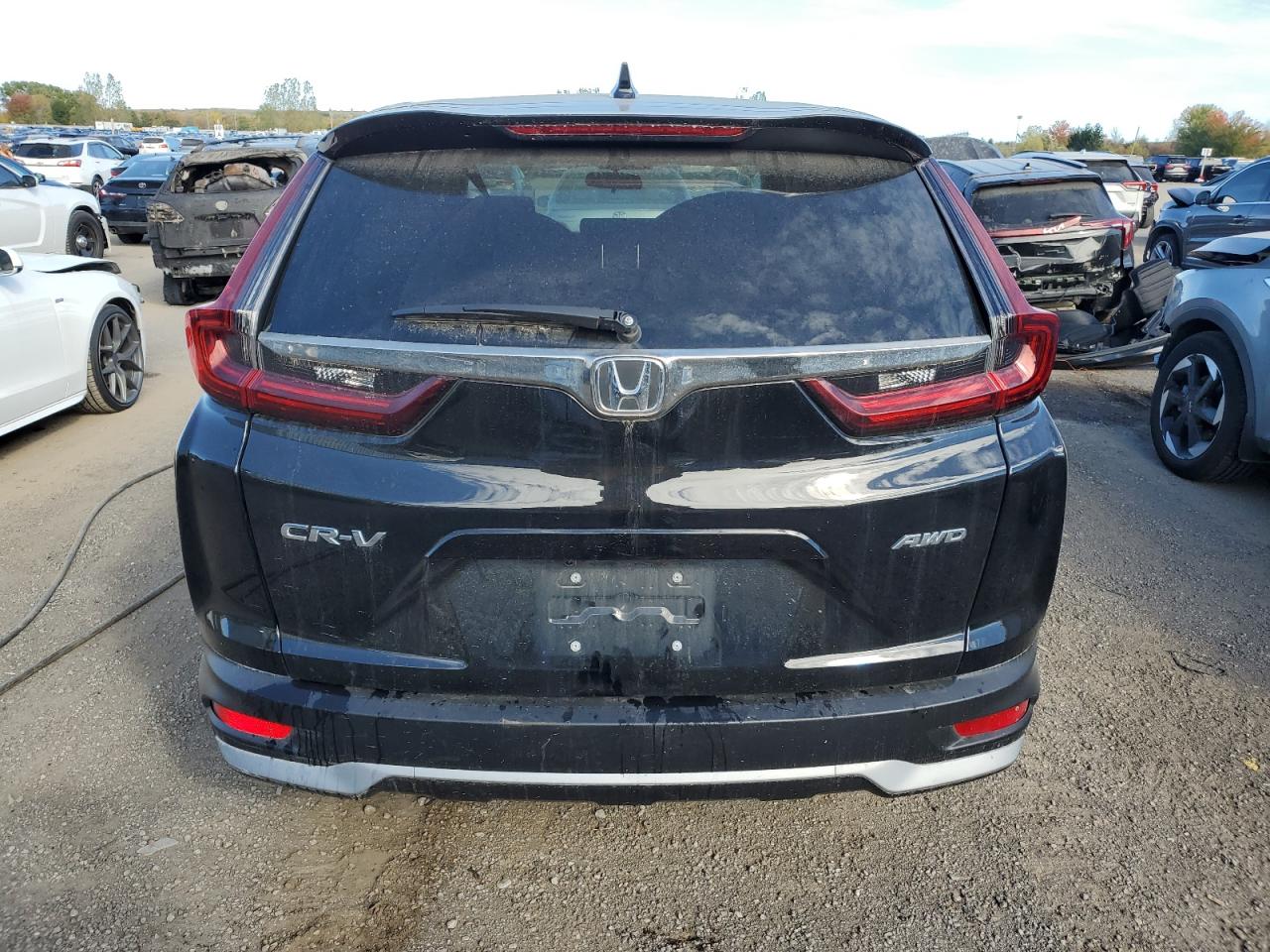 2022 Honda Cr-V Lx VIN: 2HKRW2H21NH200435 Lot: 81057695