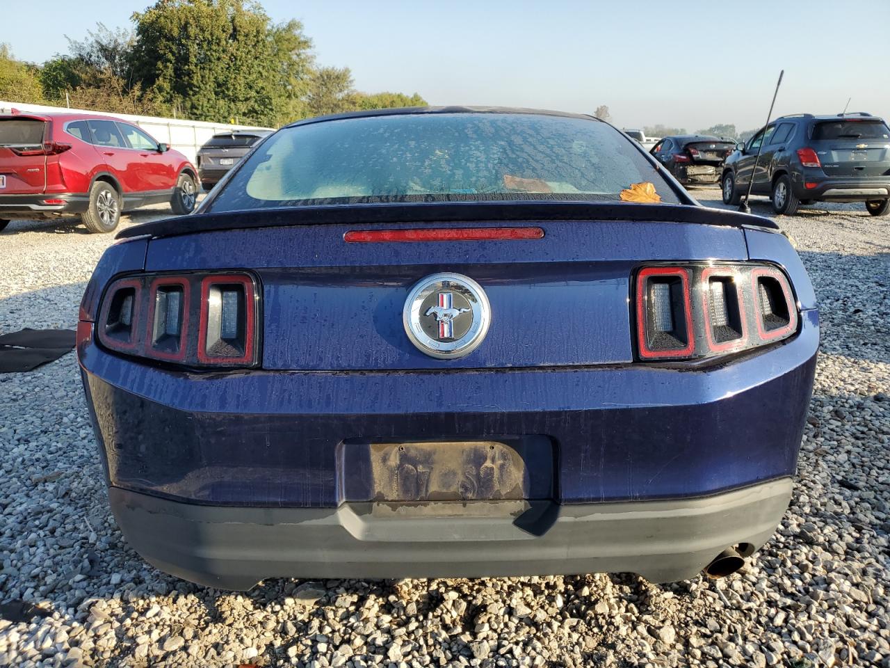 2010 Ford Mustang VIN: 1ZVBP8AN6A5168840 Lot: 84063965