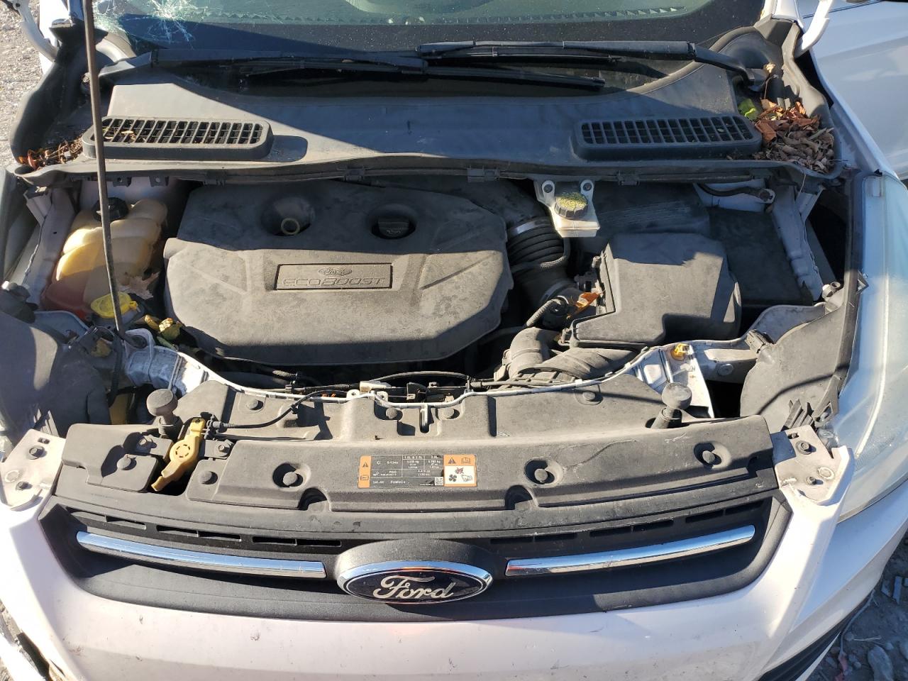 2015 Ford Escape Se VIN: 1FMCU9G94FUA89756 Lot: 95443405