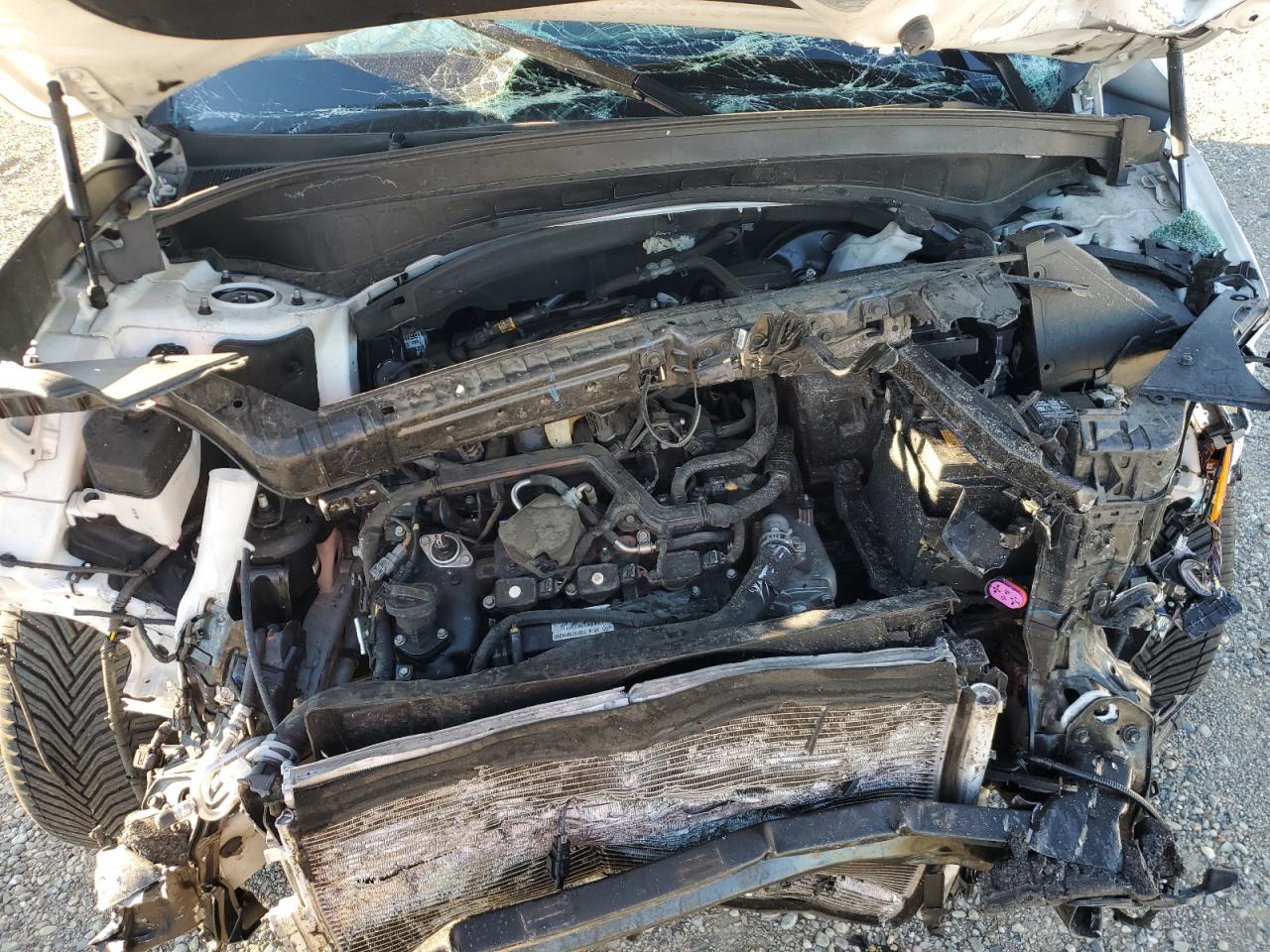 2021 Kia Telluride Sx VIN: 5XYP5DHC3MG176532 Lot: 85761785