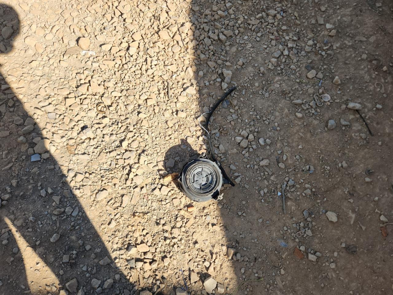 2023 Tesla Model Y VIN: 7SAYGDEE1PA158806 Lot: 87209225