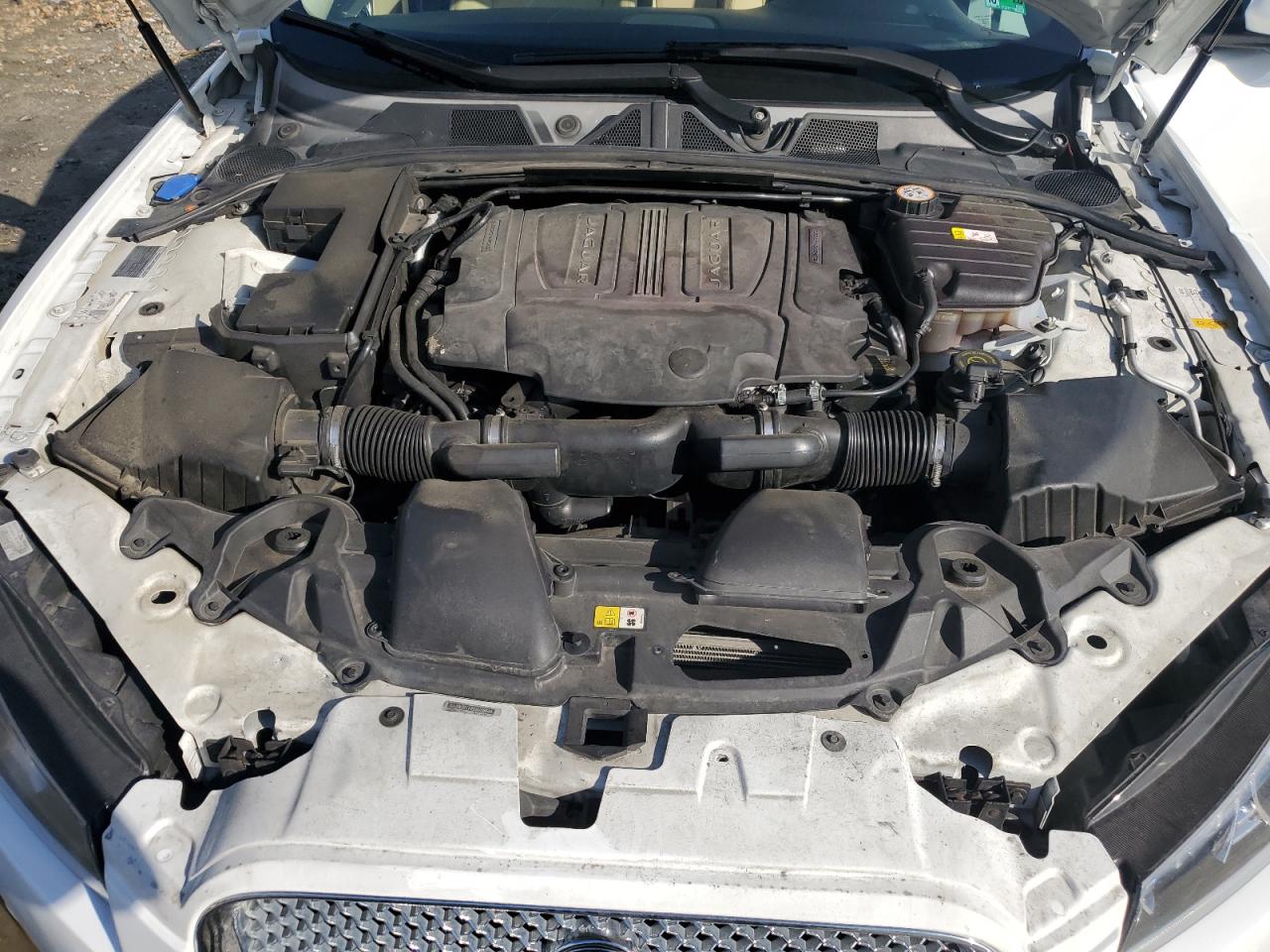 2014 Jaguar Xf VIN: SAJWJ0EF8E8U26646 Lot: 90327225