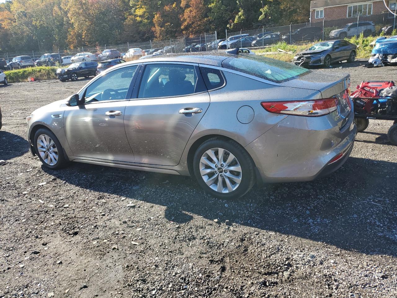 Optima Optima