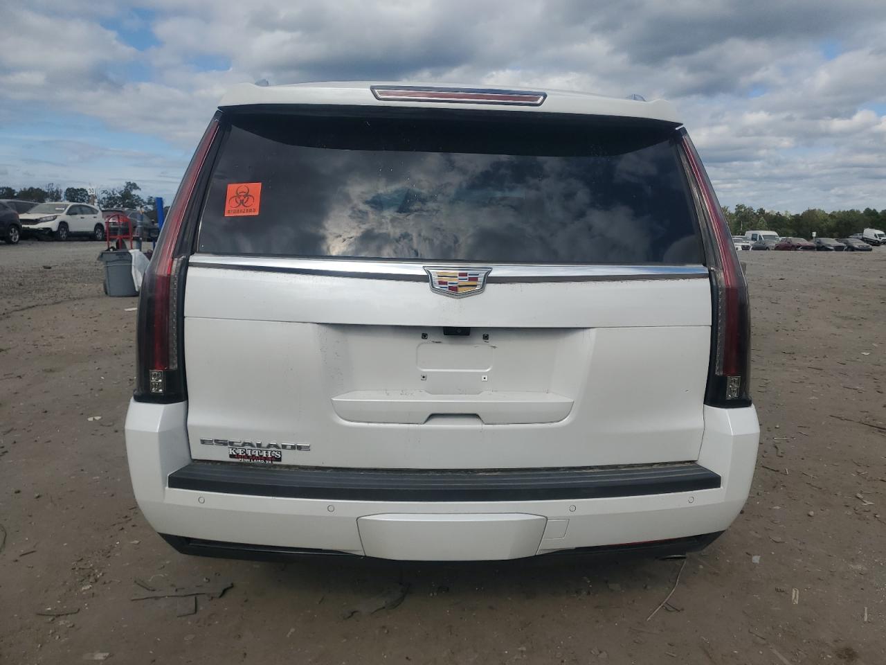 2020 Cadillac Escalade Luxury VIN: 1GYS4BKJ5LR128016 Lot: 85305105