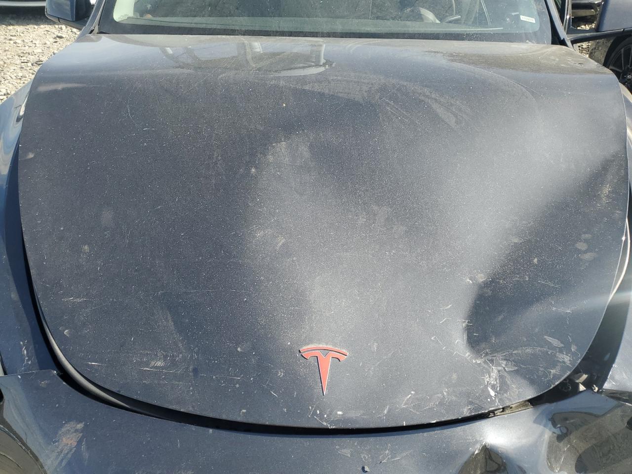 2024 Tesla Model Y VIN: 7SAYGAEE9RF015994 Lot: 84783825