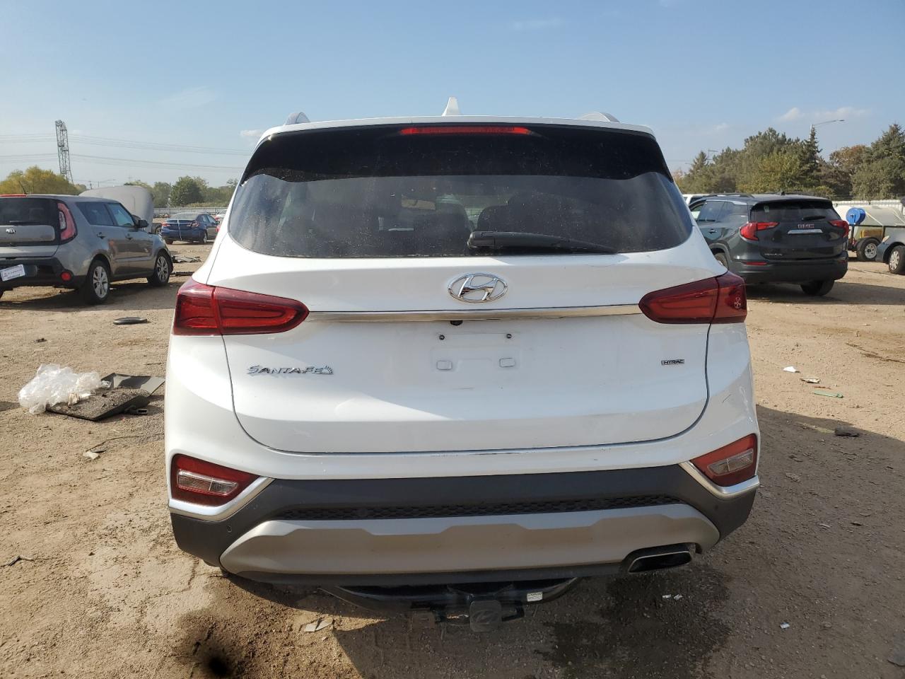 2020 Hyundai Santa Fe Sel VIN: 5NMS3CAD6LH304540 Lot: 85100265