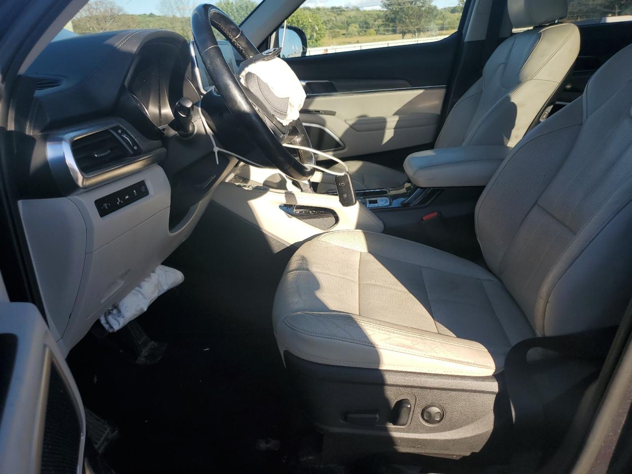 2021 Kia Telluride Ex VIN: 5XYP3DHC6MG106660 Lot: 85861135