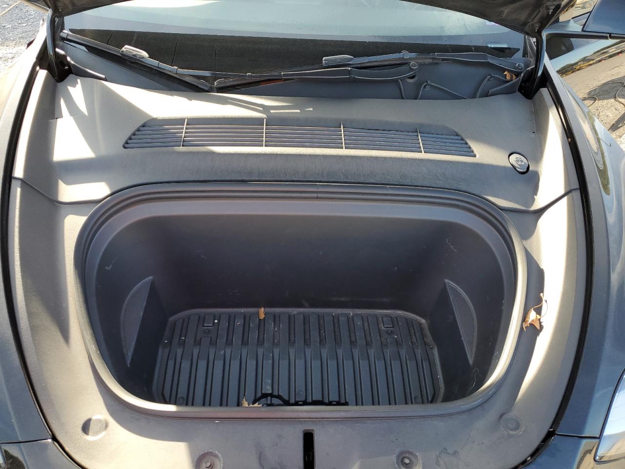 2023 Tesla Model Y VIN: 7SAYGDEE8PA141095 Lot: 84954395