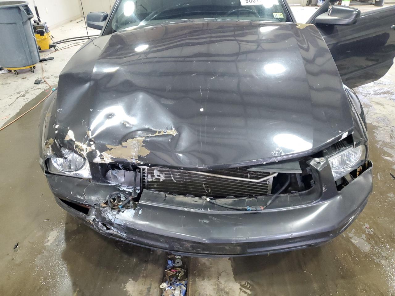 2009 Ford Mustang VIN: 1ZVHT80N695144024 Lot: 90619515