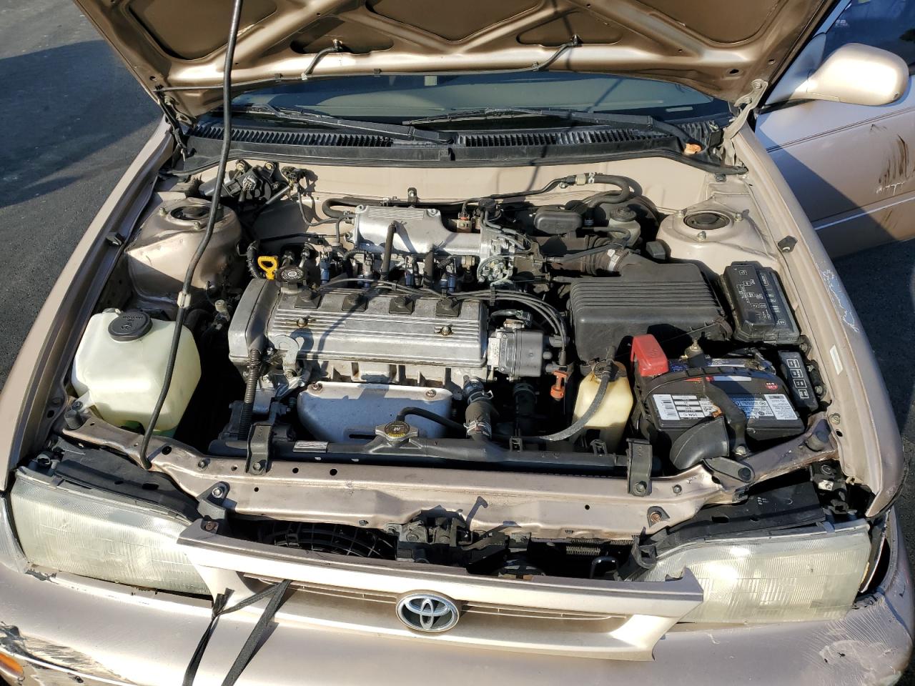 1996 Toyota Corolla Dx VIN: 1NXBB02E0TZ383569 Lot: 82731735