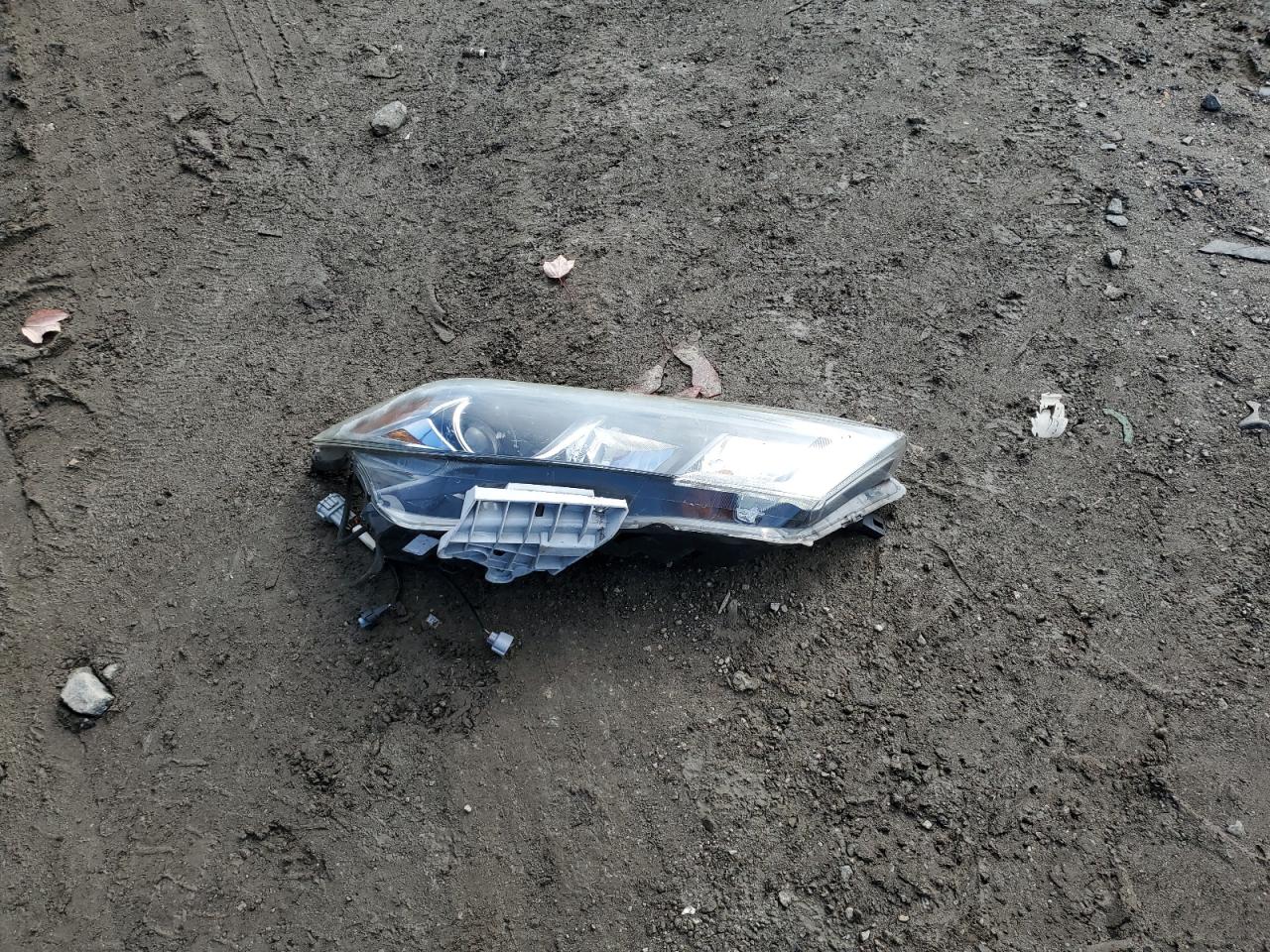 2016 Nissan Maxima 3.5S VIN: 1N4AA6AP9GC414554 Lot: 86726095