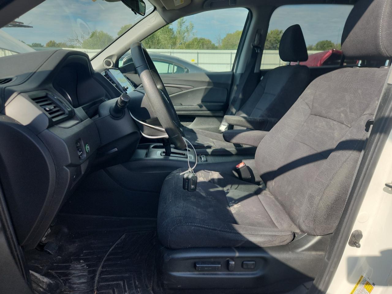 2019 Honda Pilot Ex VIN: 5FNYF6H31KB065026 Lot: 81438695