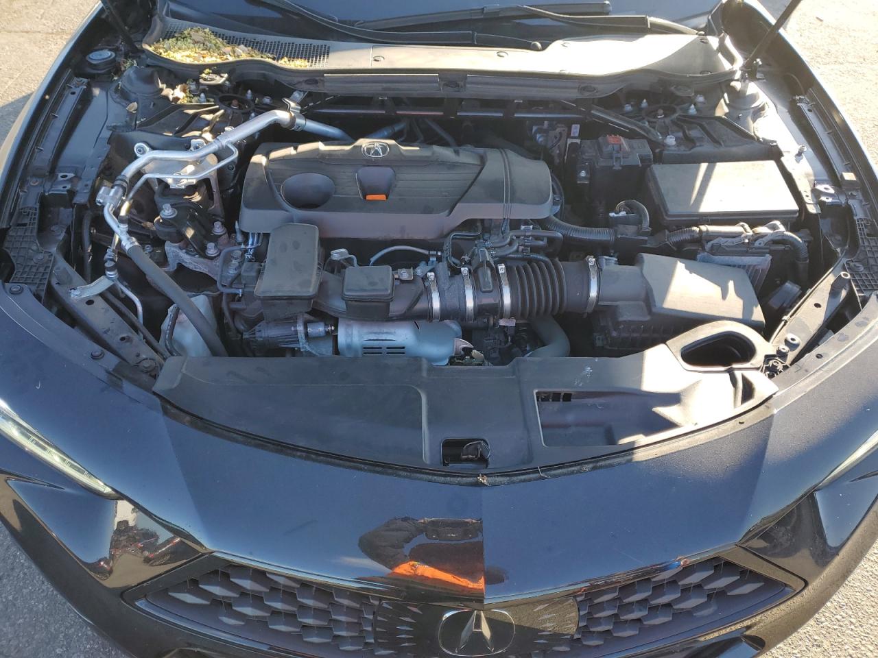 2023 Acura Tlx A-Spec VIN: 19UUB6F59PA005124 Lot: 80650955