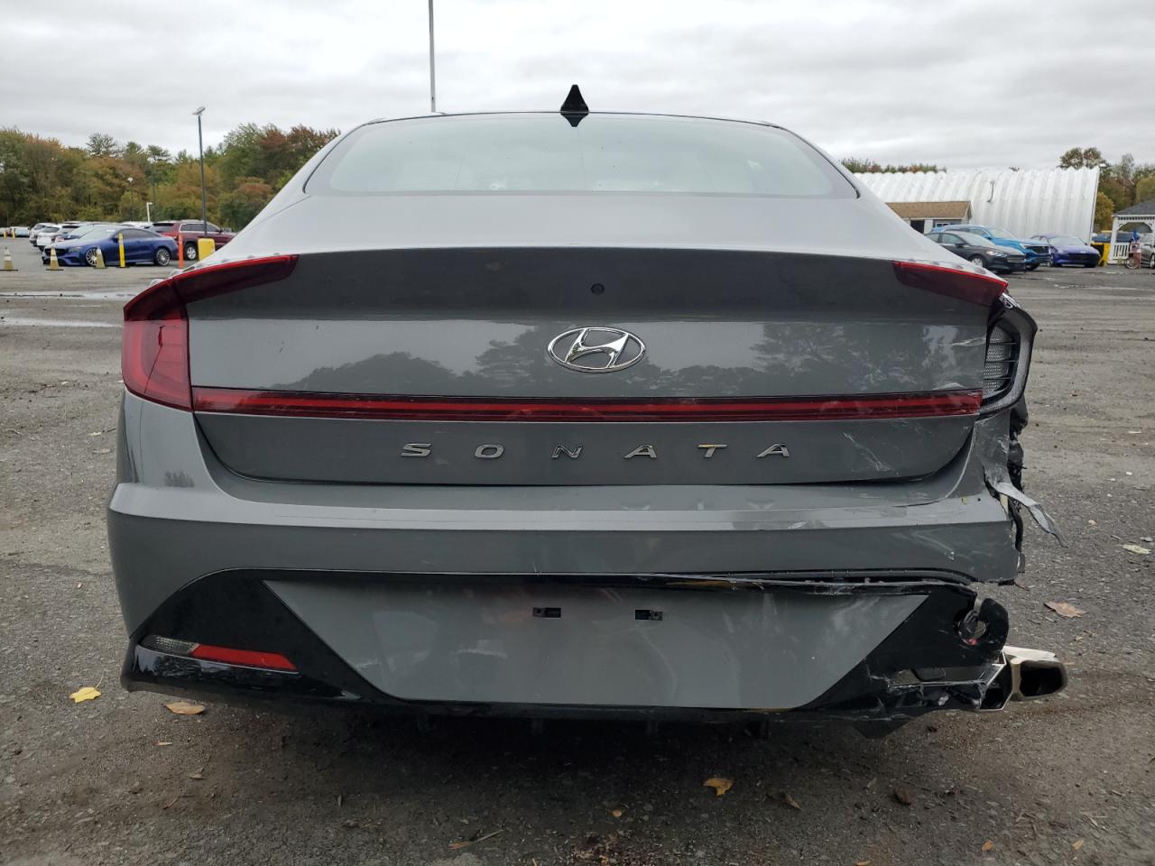 2023 Hyundai Sonata Sel VIN: KMHL64JA7PA301536 Lot: 82439455