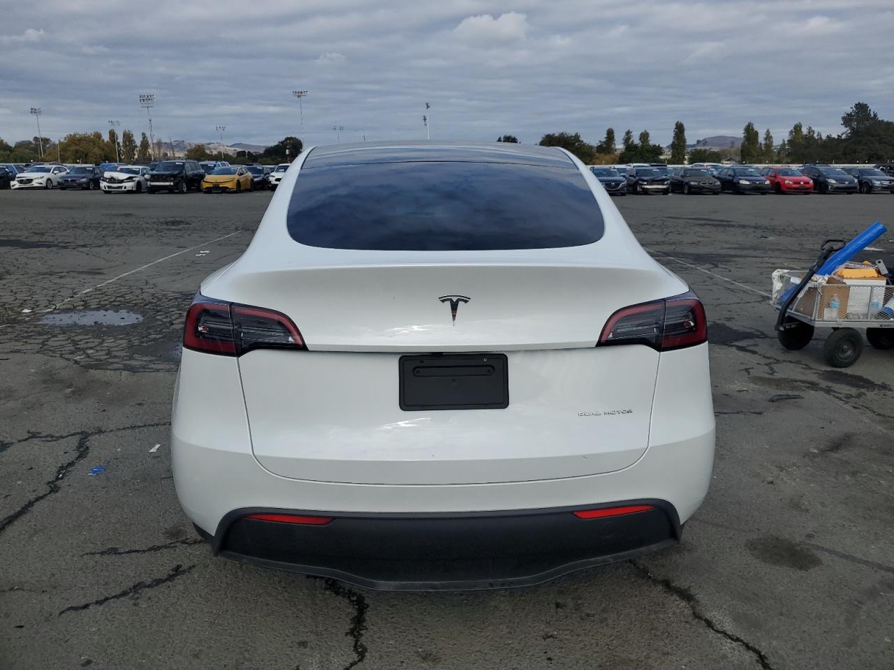 2023 Tesla Model Y VIN: 7SAYGDEE3PA150240 Lot: 86333365