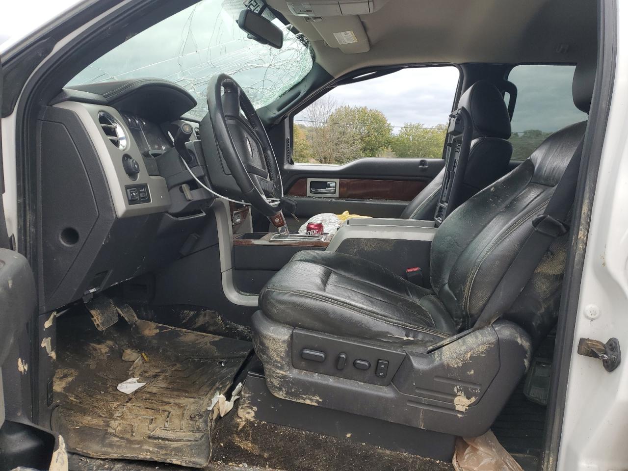 2010 Ford F150 Supercrew VIN: 1FTFW1EV6AFC77706 Lot: 90742785