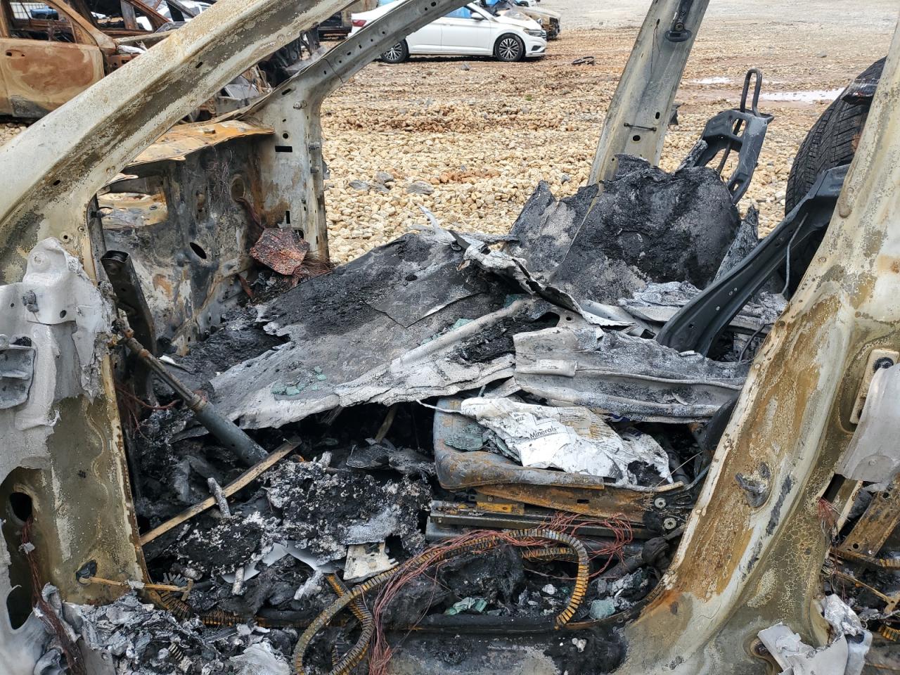 2020 Tesla Model Y VIN: 5YJYGDEF5LF003436 Lot: 90668745