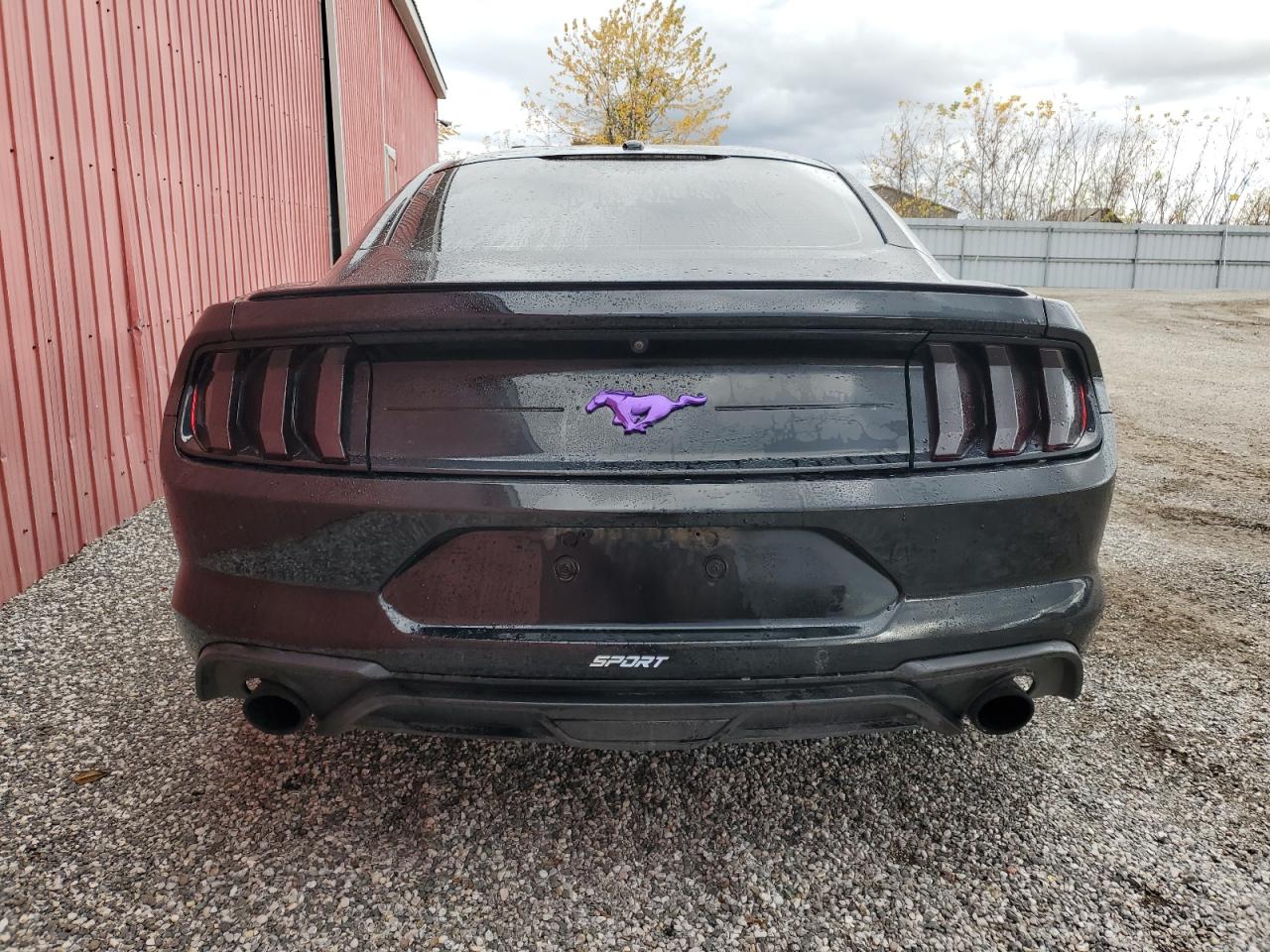 2019 Ford Mustang VIN: 1FA6P8TH6K5160191 Lot: 89535995