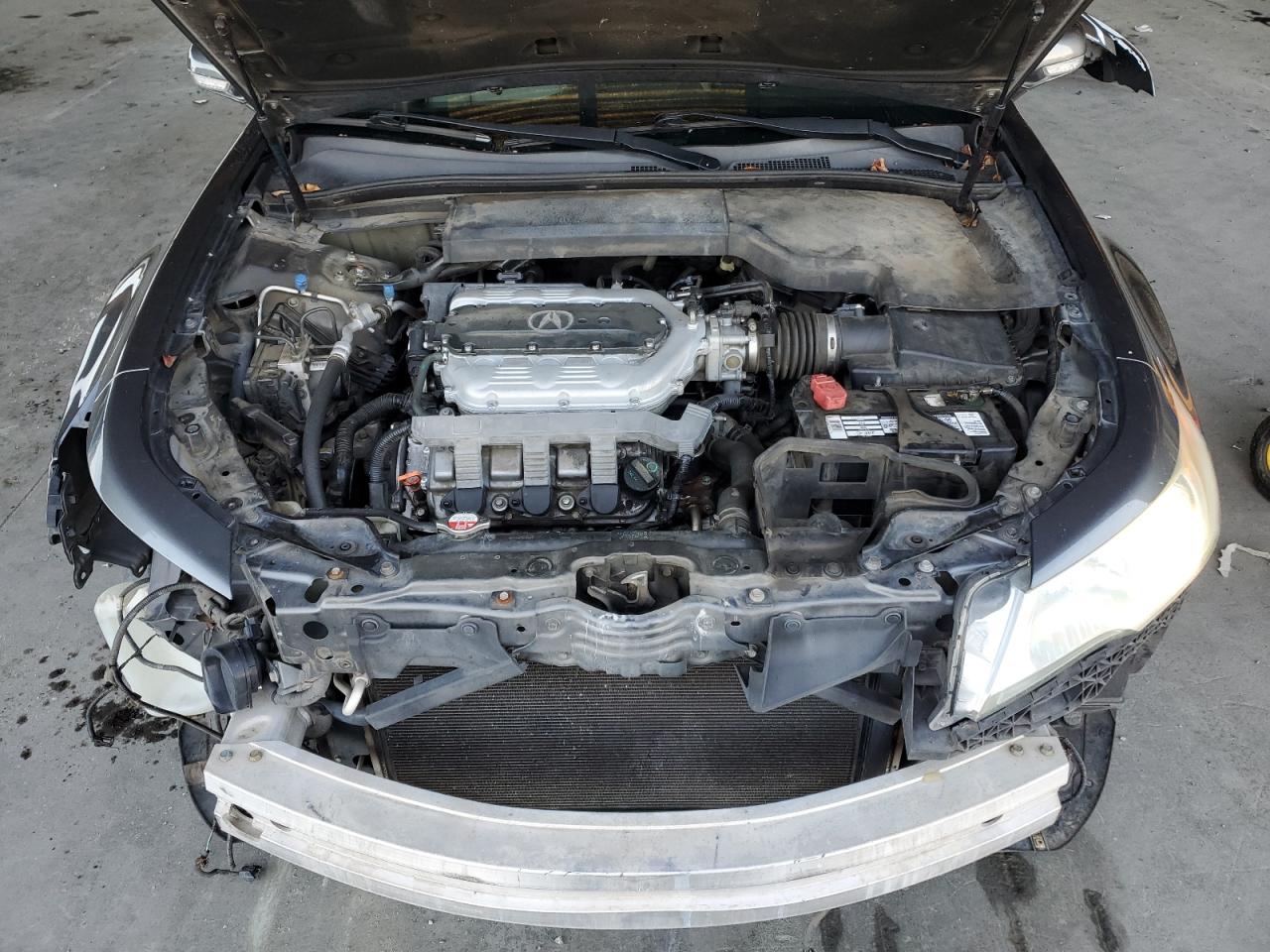 2009 Acura Tl VIN: 19UUA86229A015369 Lot: 87202865