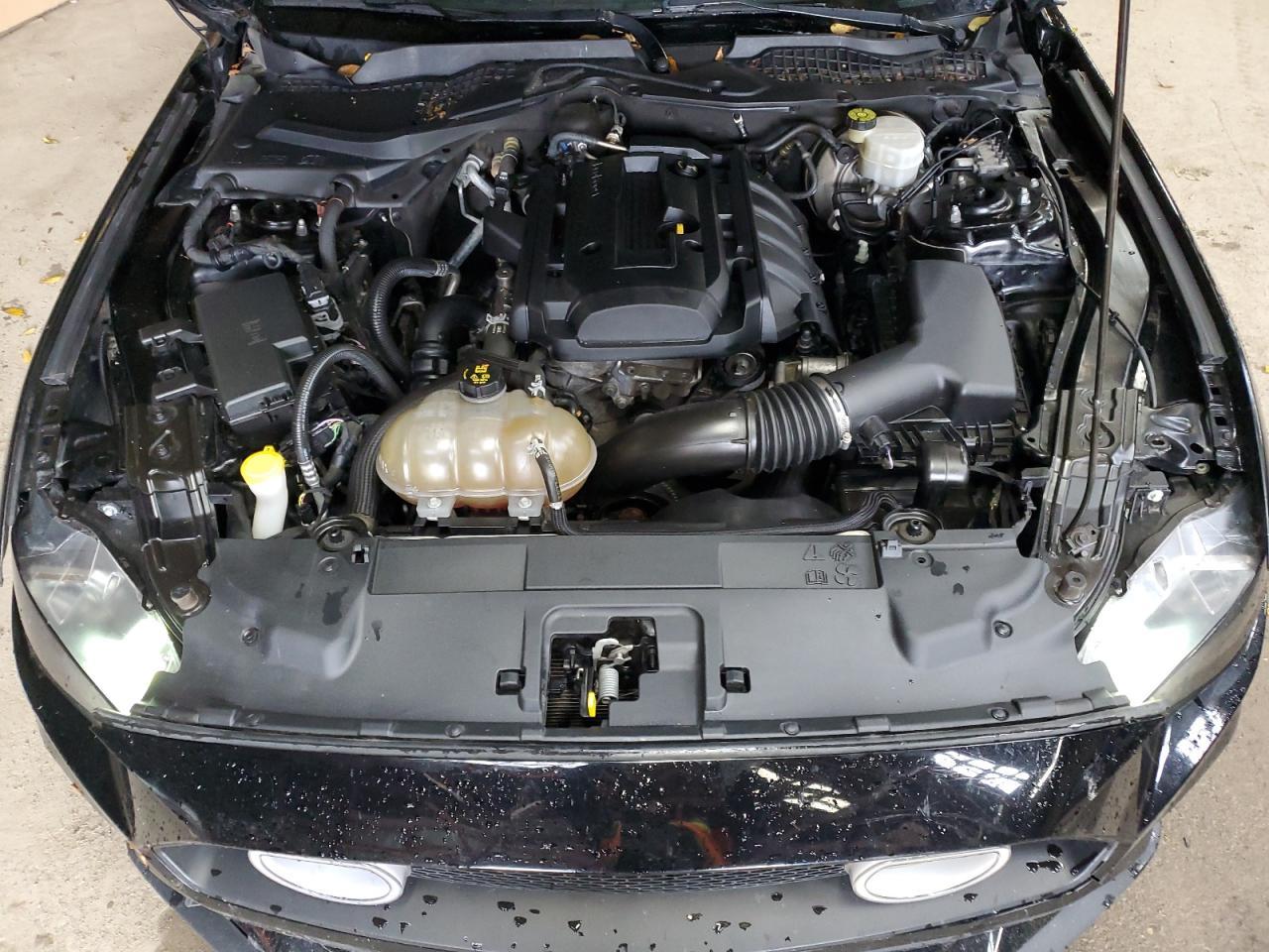 2019 Ford Mustang VIN: 1FA6P8TH6K5160191 Lot: 89535995