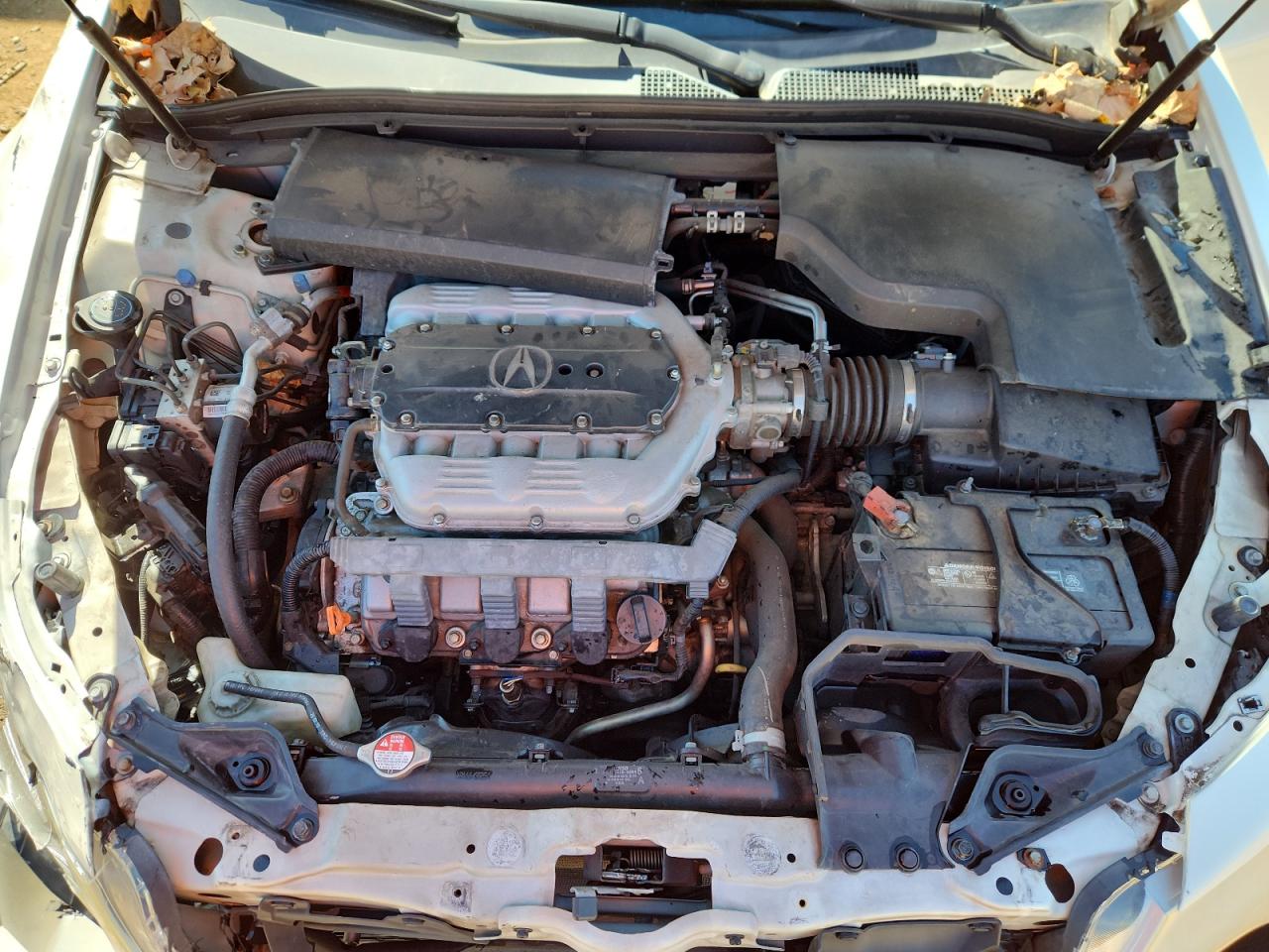 2010 Acura Tl VIN: 19UUA8F52AA022434 Lot: 85908915