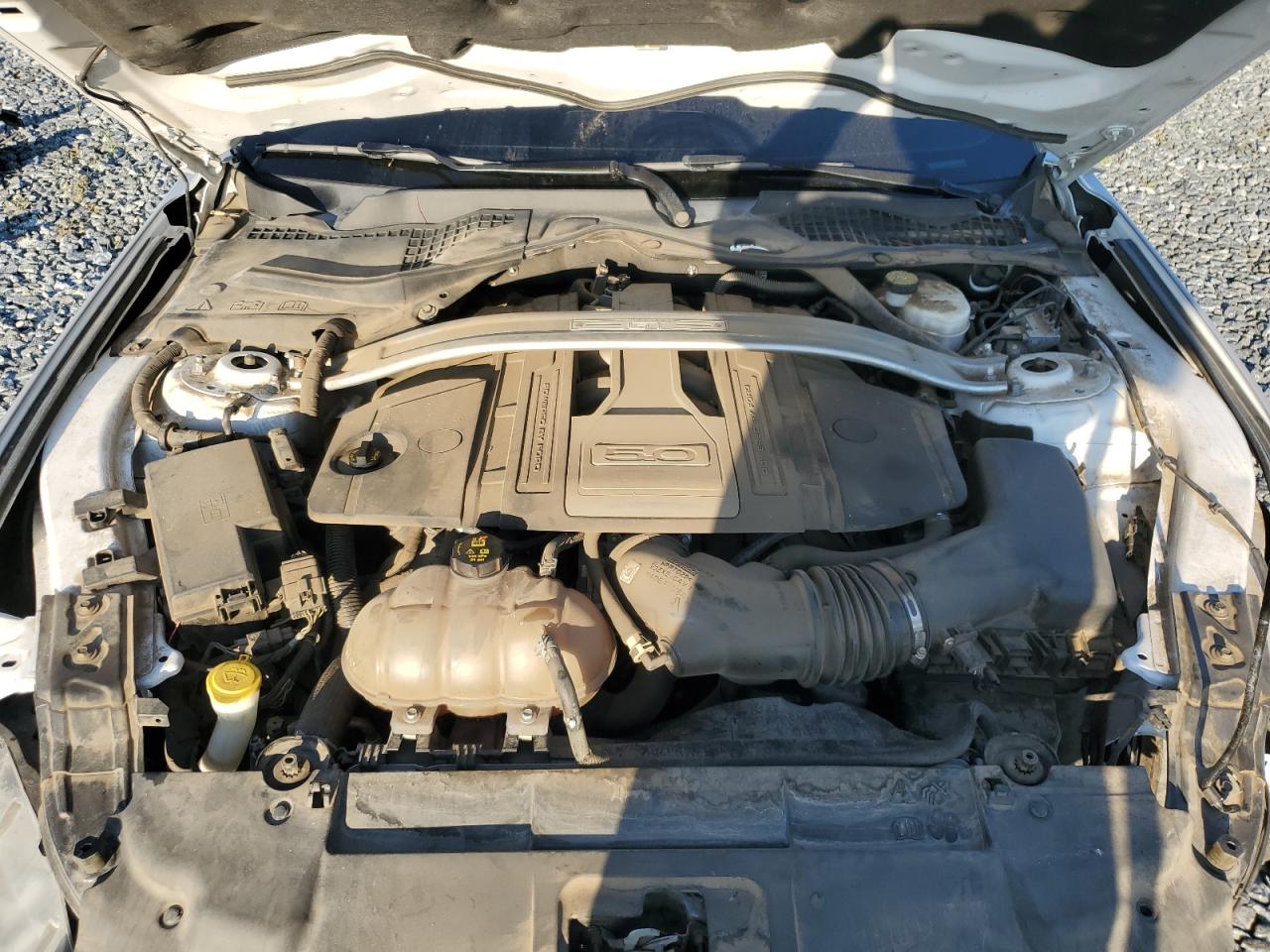 2019 Ford Mustang Gt VIN: 1FATP8FF6K5172659 Lot: 90378845