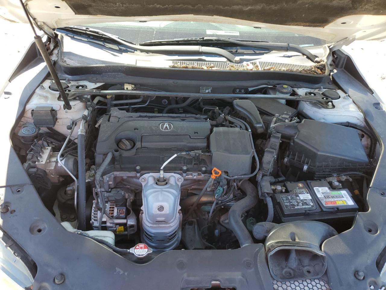 2015 Acura Tlx Tech VIN: 19UUB1F56FA004711 Lot: 90804545