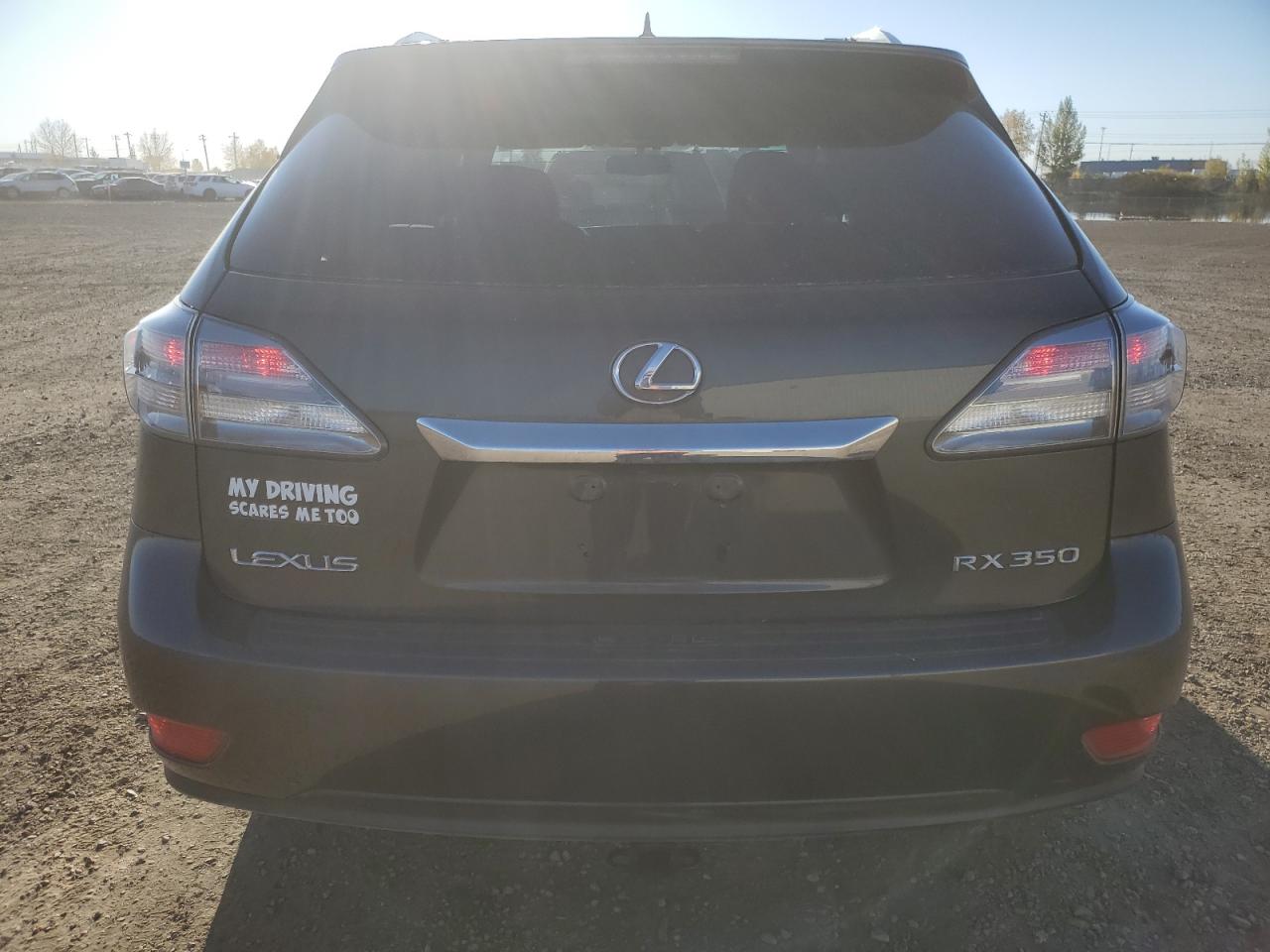 2010 Lexus Rx 350 VIN: JTJBK1BA9A2424519 Lot: 84808865