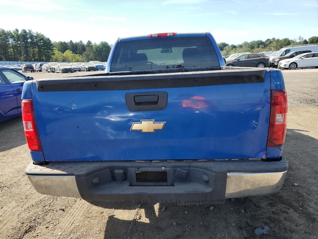 2010 Chevrolet Silverado C1500 VIN: 1GCSCPEX2AZ131796 Lot: 85274605