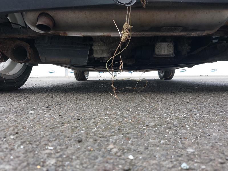 2009 SMART FORTWO COUPE CDI PASSION 2DR AUTO