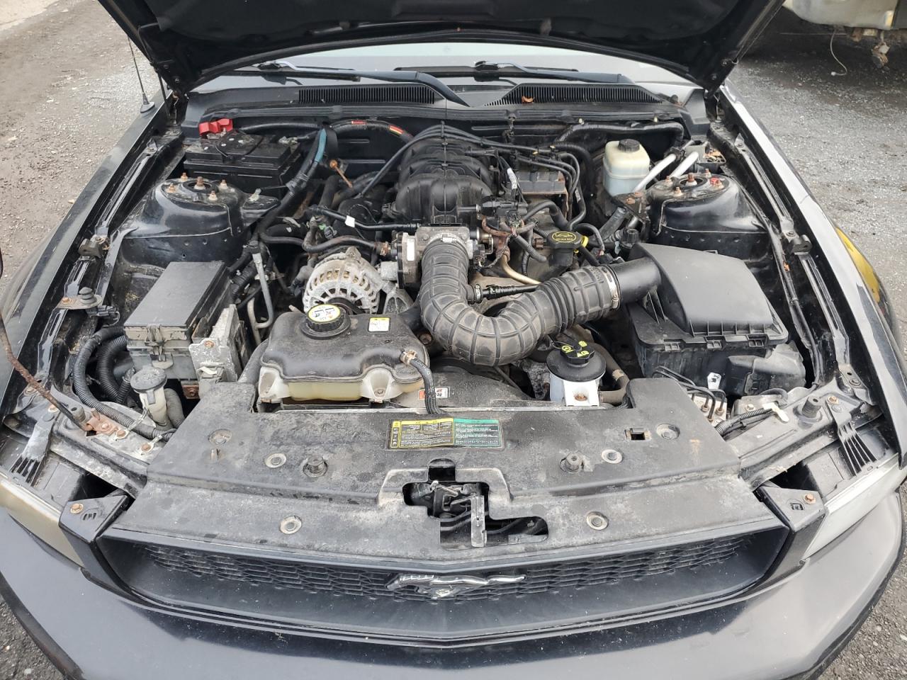 2006 Ford Mustang VIN: 1ZVFT80N165207047 Lot: 85732265
