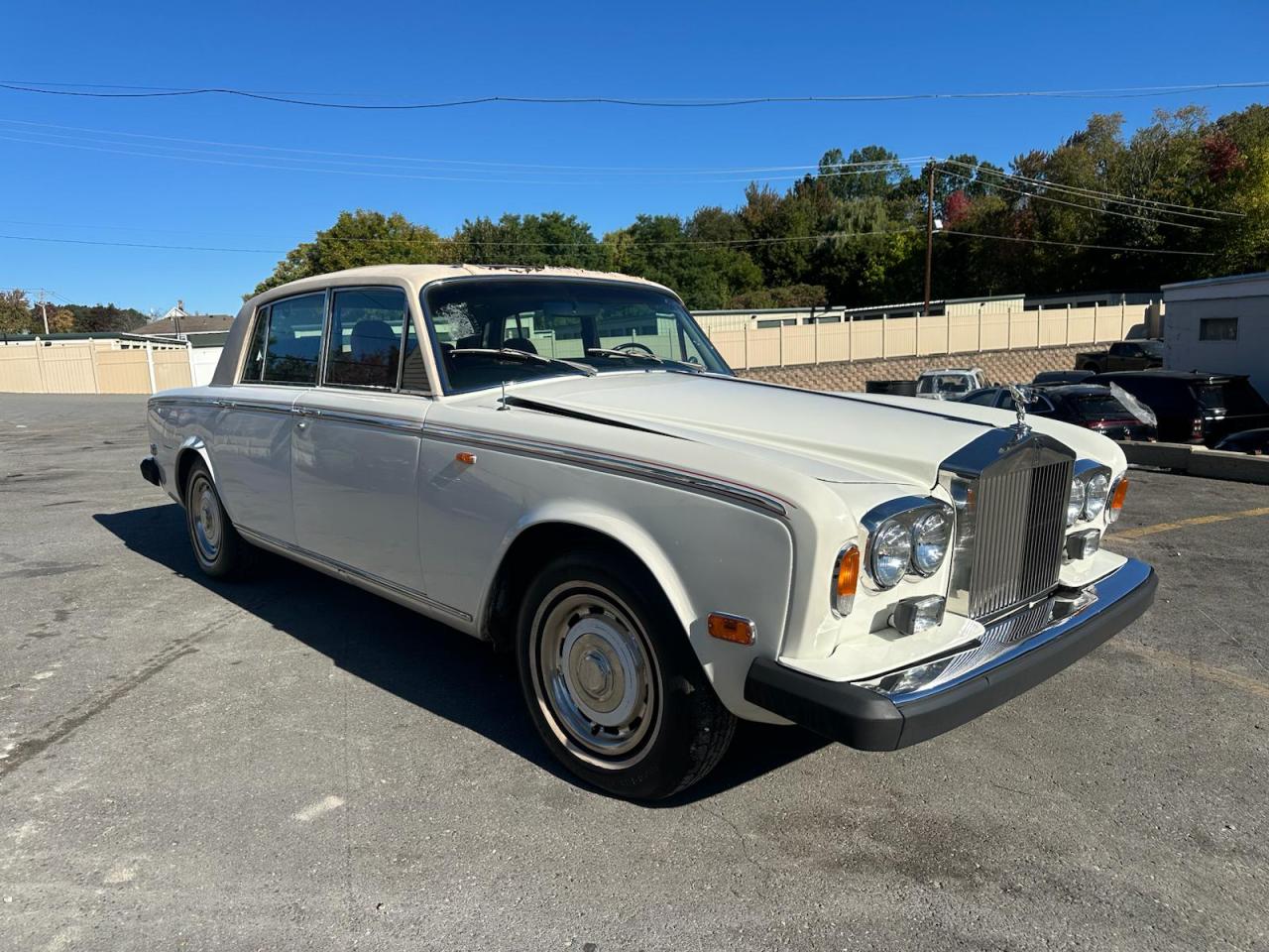 Silver Shadow Silver Shadow