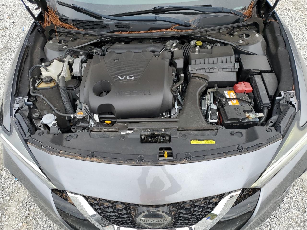 2019 Nissan Maxima S VIN: 1N4AA6AV7KC364356 Lot: 85323605