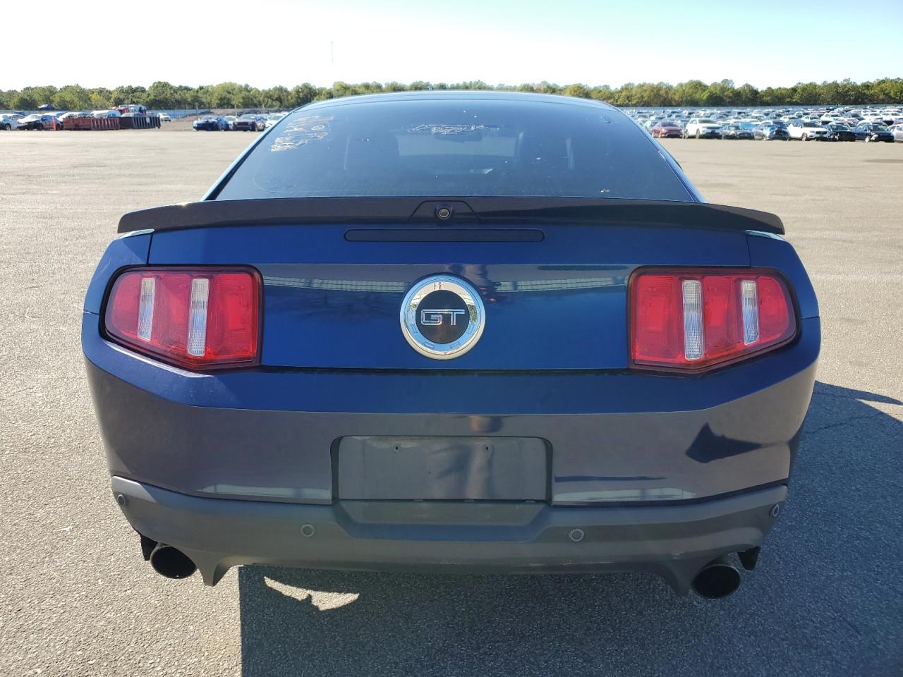 2010 Ford Mustang Gt VIN: 1ZVBP8CH1A5100226 Lot: 82384655