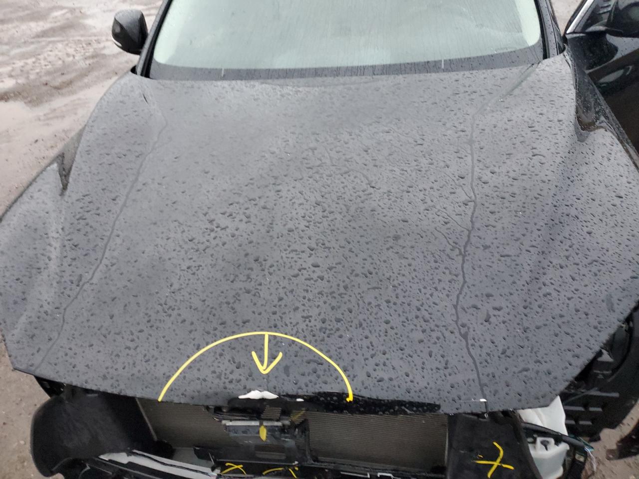 2020 Infiniti Qx50 Pure VIN: 3PCAJ5M30LF101340 Lot: 89885285