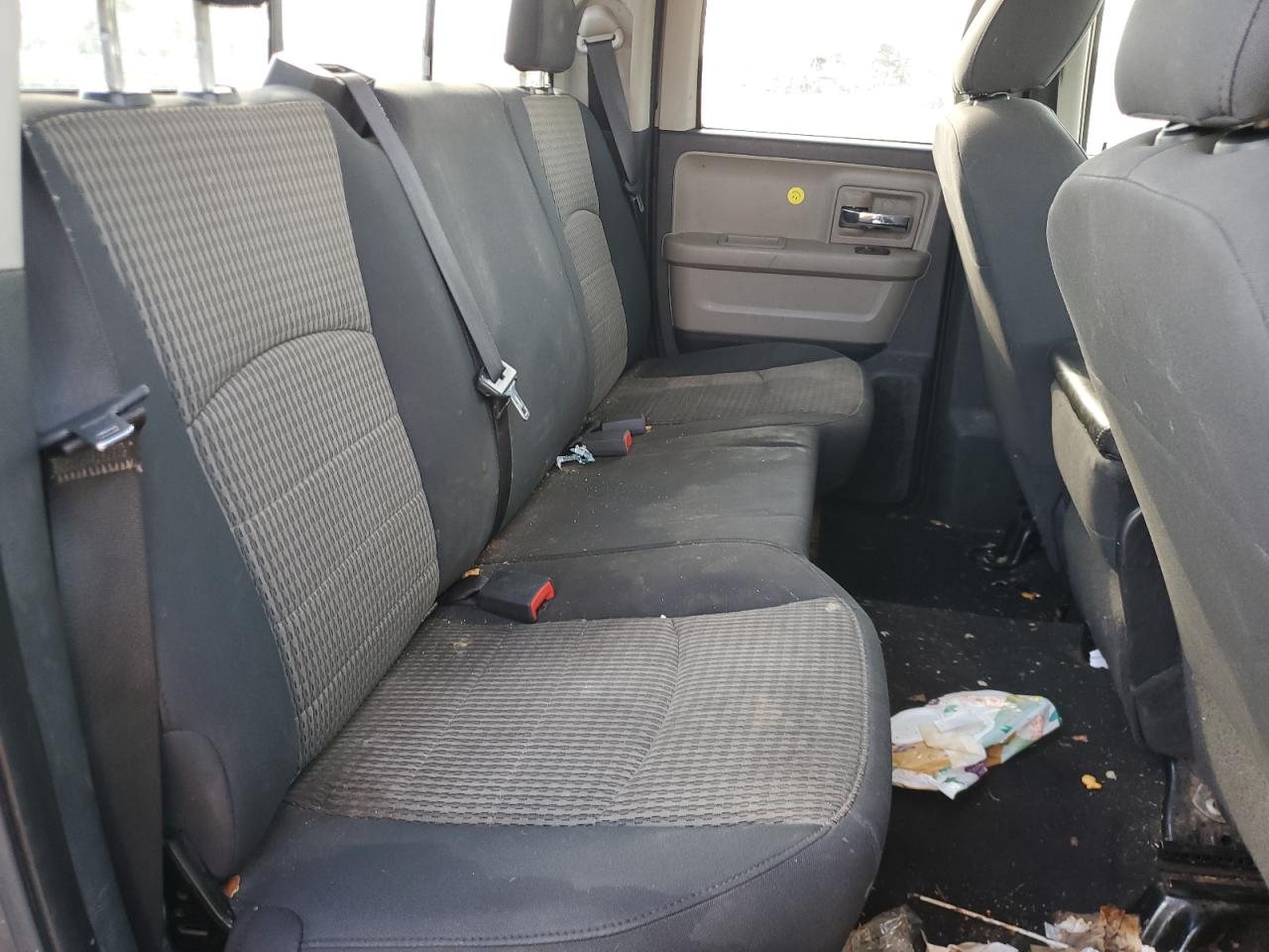 2010 Dodge Ram 1500 VIN: 1D7RB1GP3AS173257 Lot: 85339625