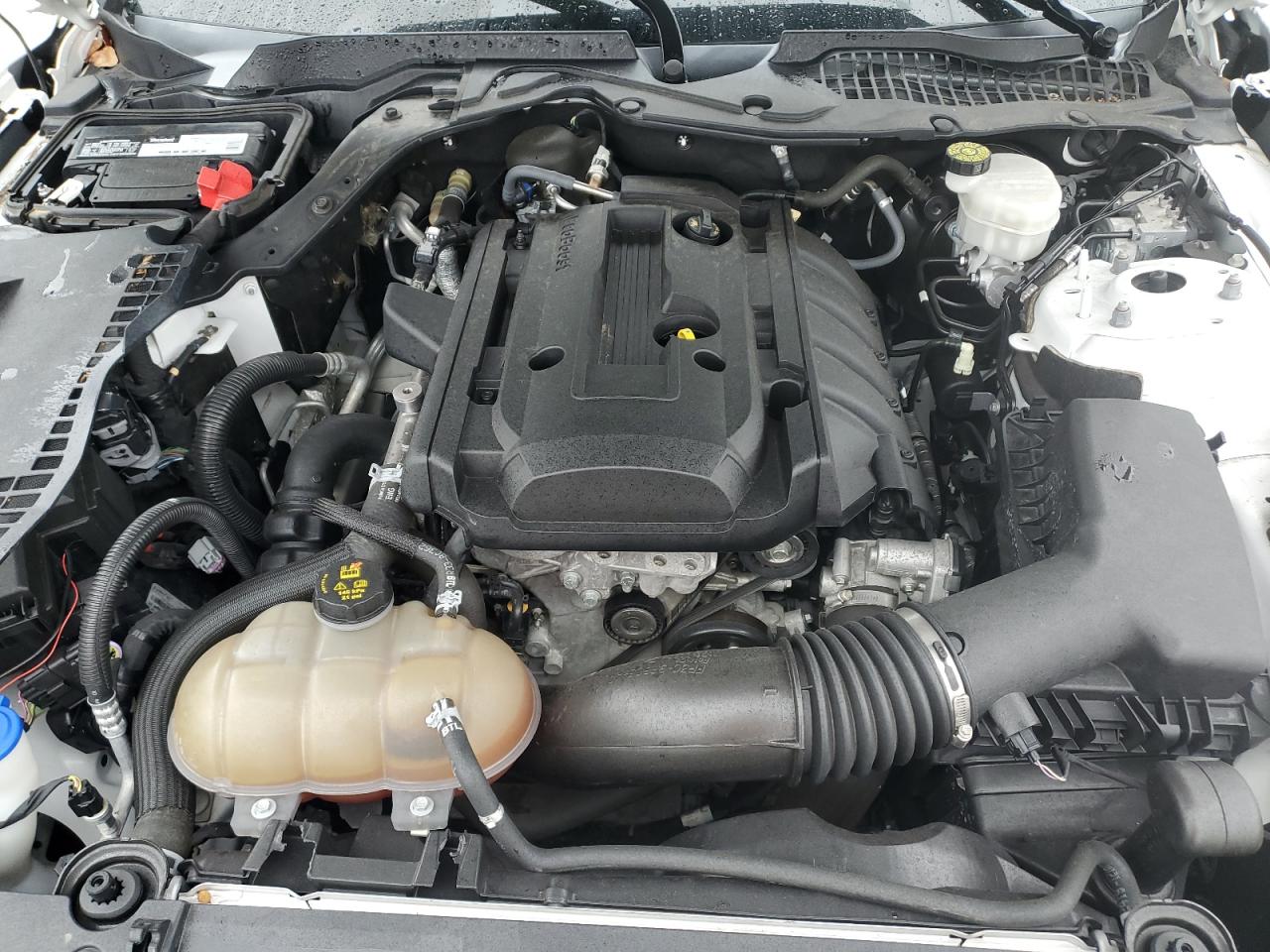 2020 Ford Mustang VIN: 1FA6P8TH6L5100526 Lot: 82256175