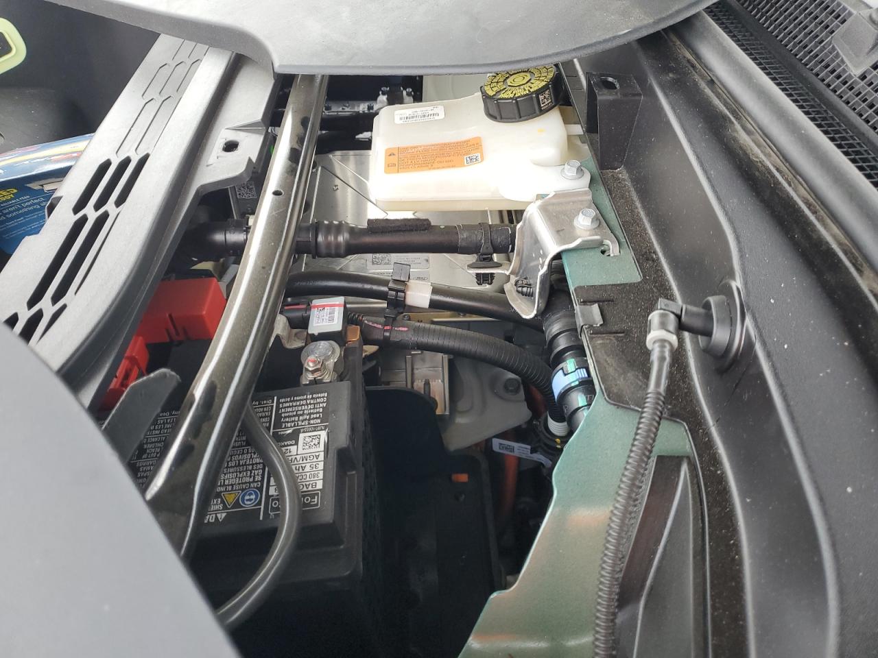 2024 Ford Mustang Mach-E Premium VIN: 3FMTK3SU9RMA51706 Lot: 85189145