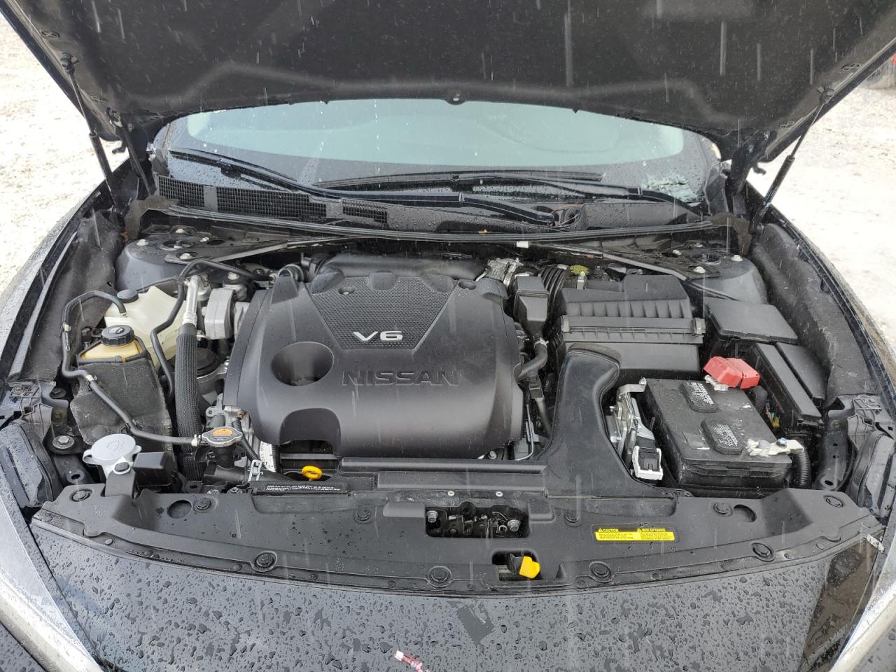 2020 Nissan Maxima Sl VIN: 1N4AA6DV7LC383356 Lot: 80273125