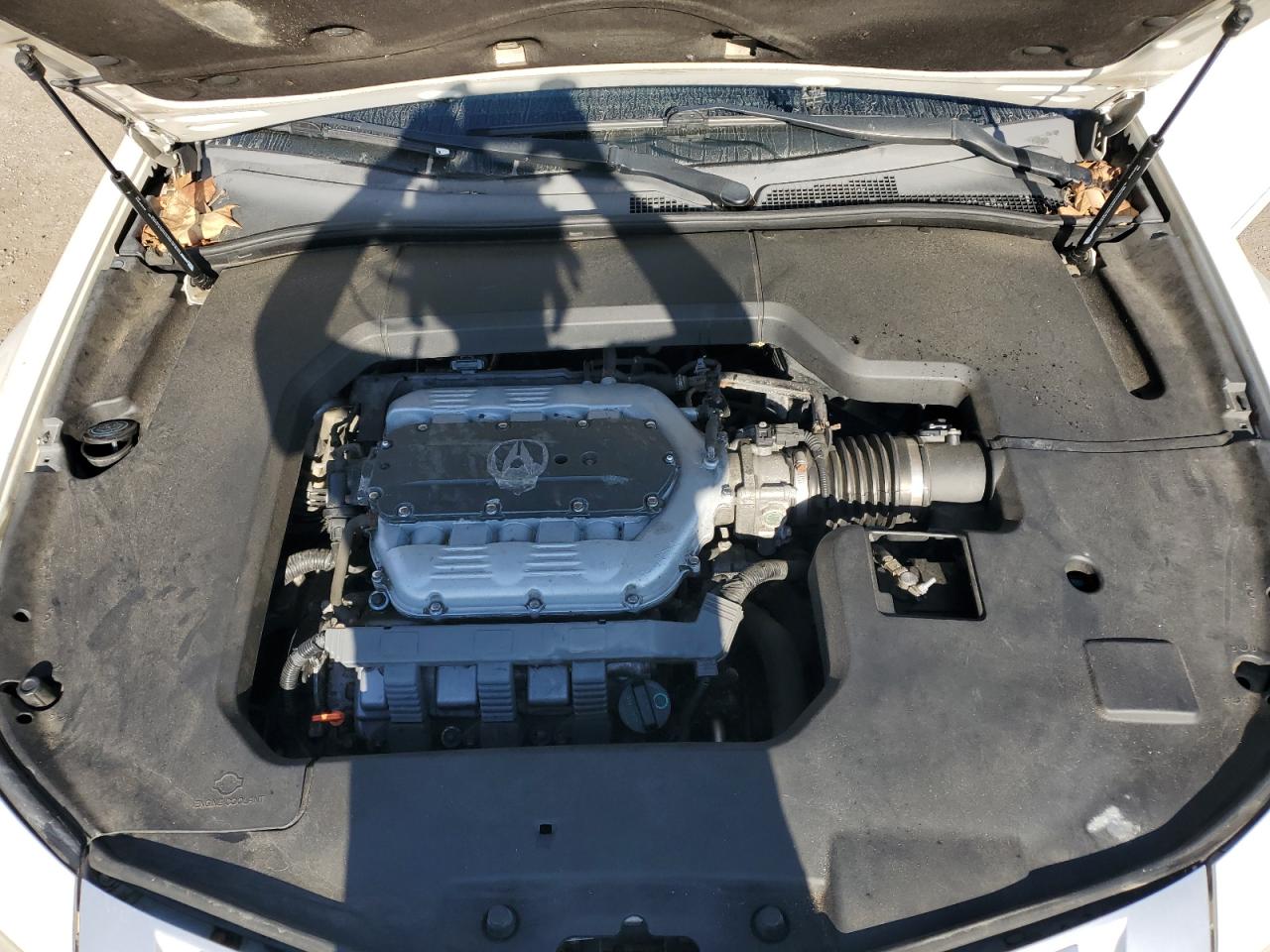 2010 Acura Tl VIN: 19UUA9F57AA003657 Lot: 80879335
