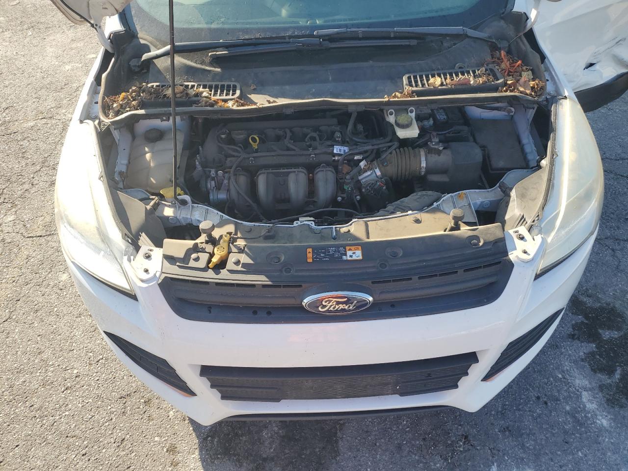 2014 Ford Escape S VIN: 1FMCU0F78EUD41826 Lot: 84560225