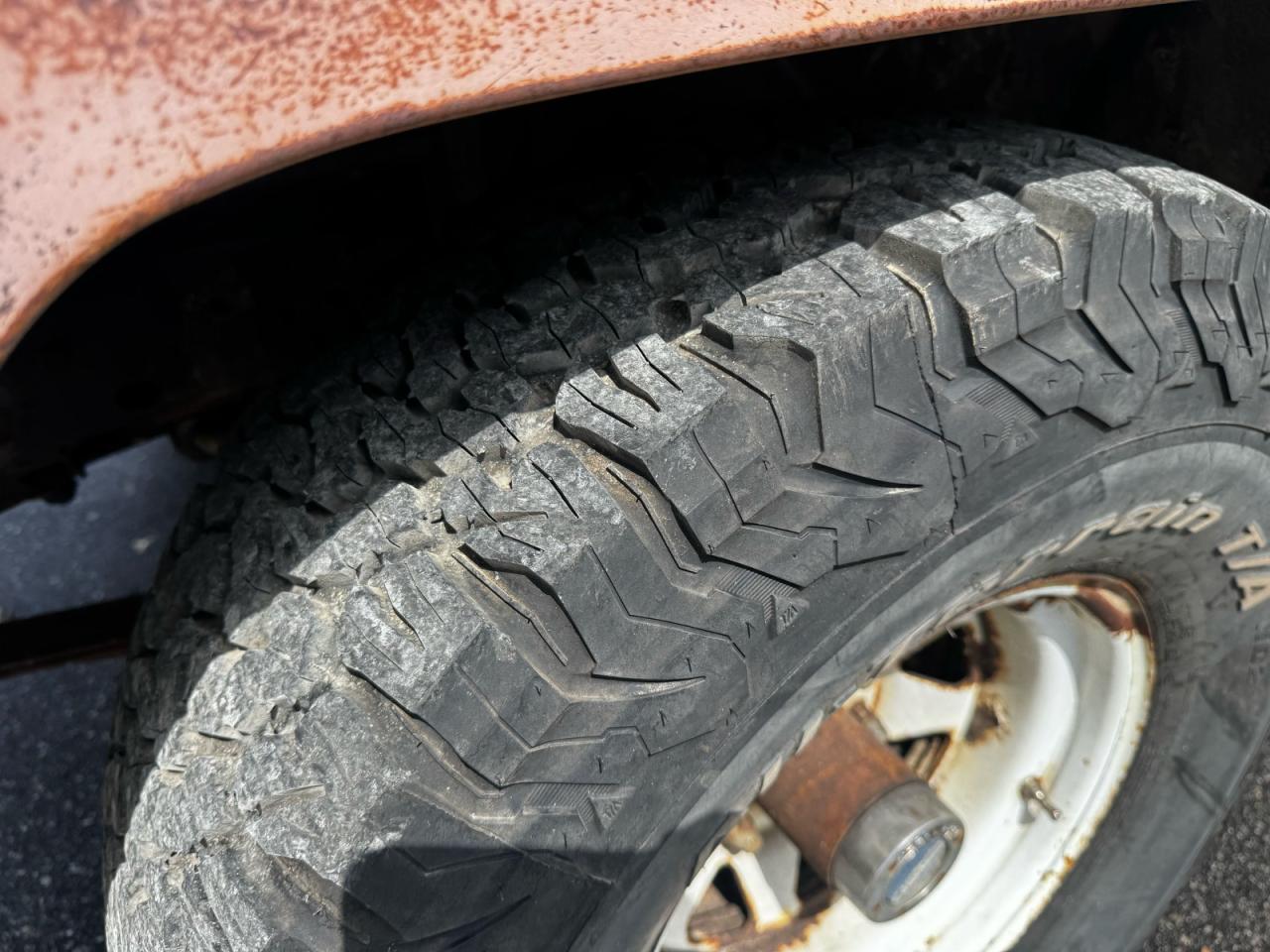 1980 Jeep J-10 Picku VIN: J0M25NC055658 Lot: 85747255