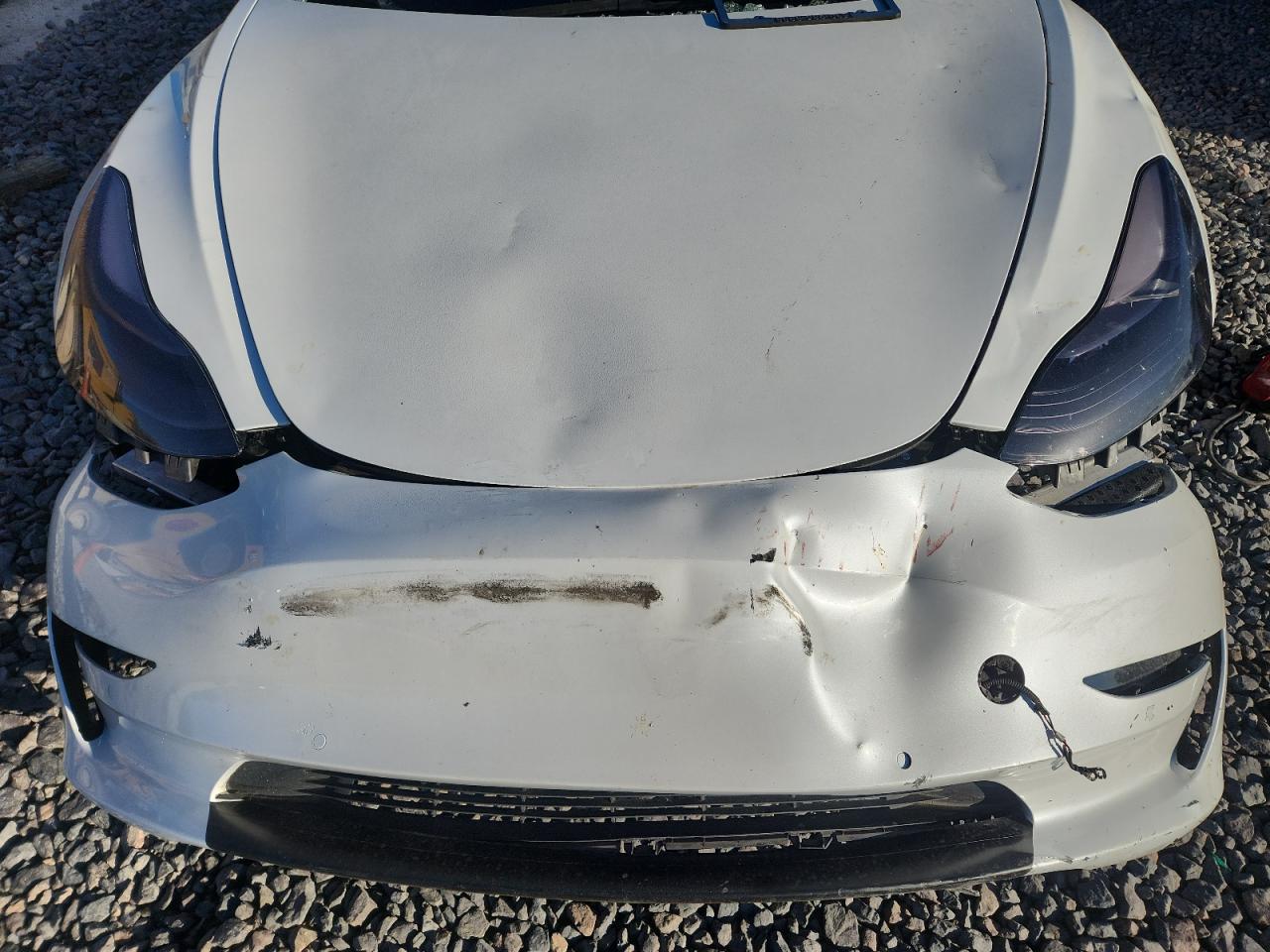 2021 Tesla Model 3 VIN: 5YJ3E1EC3MF025781 Lot: 85923965