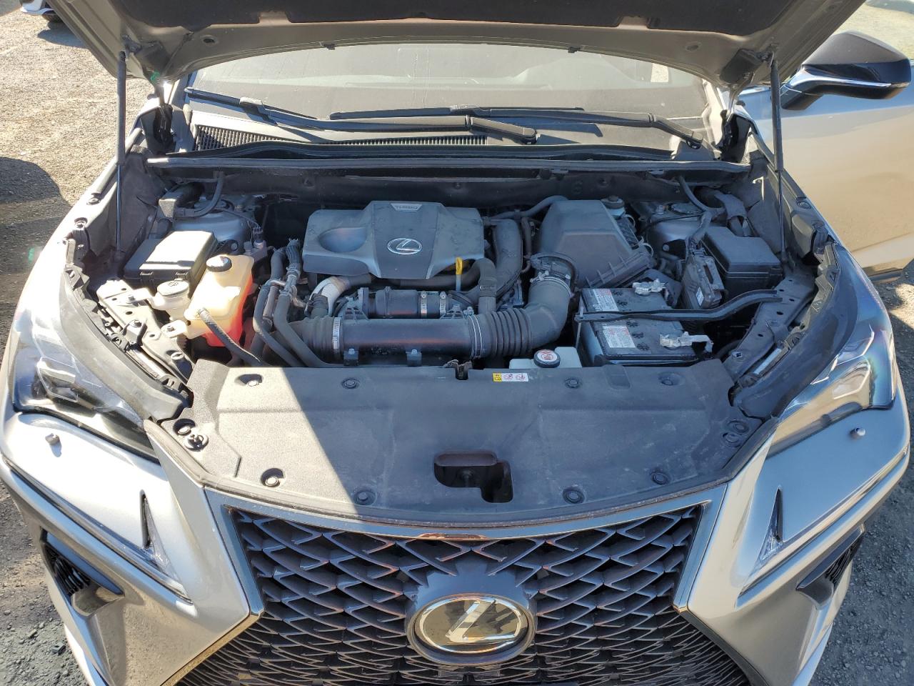 2019 Lexus Nx 300 Base VIN: JTJBARBZ8K2210114 Lot: 82153565